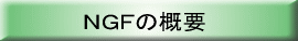 NGF̊Tv